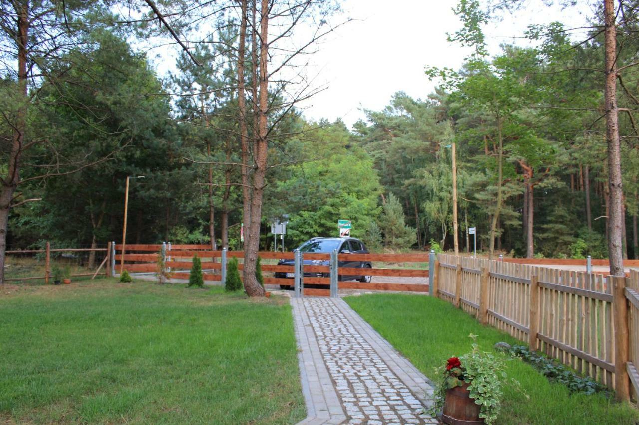 Koci Grzbiet Agroturystyka Dzierzazno Wielkie Exterior foto